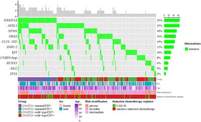 CD7-positive leukemic blasts with DNMT3A mutations predict poor prognosis in patients with acute myeloid leukemia
